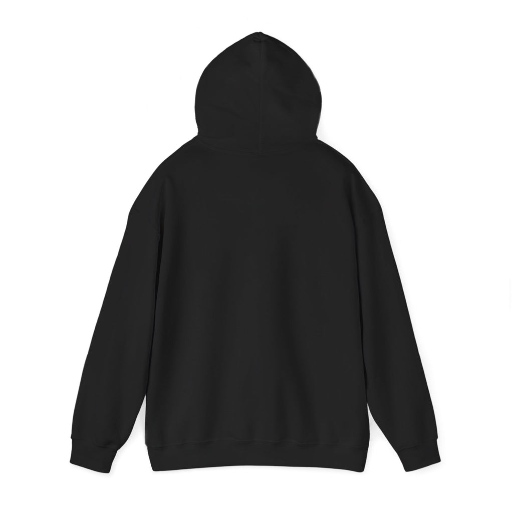 Kerala Backwaters Sunset Hoodie